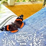 Sherry Renee Stallard Starnes - @sherry.tackett1 - Instagram