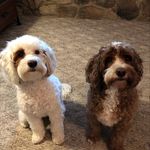 Sherry Tackett - @lskjt - Instagram