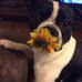 Sherry Tarrant - Facebook