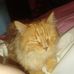 Sherry Tarrant - Facebook