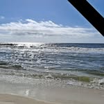 Sherry Tarrants - @tarrantssherry - Instagram