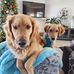 Sherry Thiel - Facebook