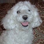 Sherry Hall Thurman - @sherrythurman1970 - Instagram