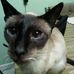 Sherry Thurman - Facebook