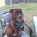 Sherry Tidwell - Facebook