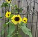 Sherry Tiller - Facebook