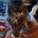 Sherry Tobin Smith - @sherrysmith3895 - Instagram