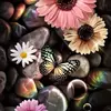 Sherry Todd - @sherry.todd8 - TikTok