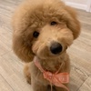 sherry - @sherry_toy - TikTok