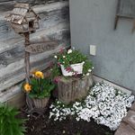 Sherry Tremblay - @sherry.tremblay - Instagram
