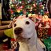 Sherri Trujillo - Facebook