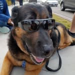 Sherry Armitage - @sherry_trujillo_armitage - Instagram