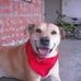 Sherry Trujillo - Facebook