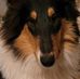 Sherry Tuggle - Facebook