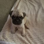 Sherry Vanwinkle - @vanwinklesherry01 - Instagram