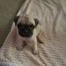 Sherry Vanwinkle - Facebook