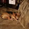 sherryvest - @sherryvest - TikTok