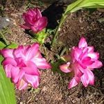 Sherry Vincent Lanclos - @sherryvincentlanclos - Instagram
