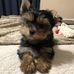 Shari Wakefield - Facebook