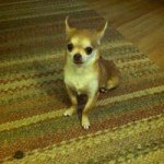 Sherry Wakefield - @crackedup5 - Instagram