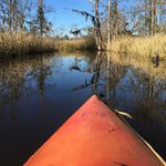 Sherry Waldron - @rather.be.kayaking - Instagram