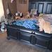 Sherry Wampler - Facebook