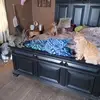 Sherry Wampler - @sherry.wampler - TikTok