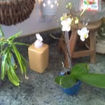 Sherry Warren - @sherrywarren800 - Instagram