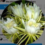 Sherry Wee - @lsagant54 - Instagram
