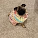 Sherry Wegner - @ltabor1103 - Instagram