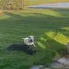 Sherry Weimert - @sherry.weimert - TikTok