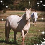 Sherry Wheat Cathey - @sherrycathey - Instagram