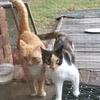 sherrywheaton245 - @sherrywheaton245 - TikTok