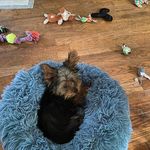 Sherry Wildman - @sherry.wildman.3 - Instagram