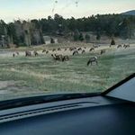 Sherry Wildman - @sherrywildman - Instagram