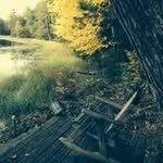 Sherry Wiley - @sherrywiley123 - Instagram