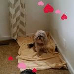 Sherry Wilk - @sherry.wilk.7 - Instagram