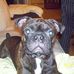 Sherry Wilks - Facebook