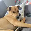 sherrywillard822 - @sherrywillard822 - TikTok