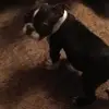 sherrywillard - @sherrywillard - TikTok