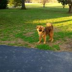 Sherry Wilt - @goodrainydaywoman - Instagram
