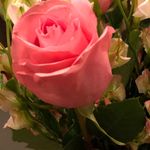 Sherrywilt - @sherrywilt1963 - Instagram
