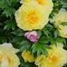 Sherry Wimmer - Facebook