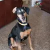 Sherry Winslow945 - @ladywinslow16 - TikTok