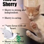 Sherry Winston - @mswinston194 - Instagram