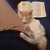 Sherry Winston - Facebook