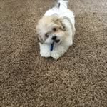 Sherry Winter - @sher.rywinter - Instagram
