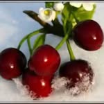 wintersherry - @_winter_sherry_ - Instagram