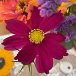 Sherry Witmer - @greenstamps55 - Instagram