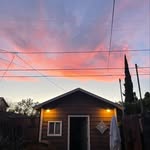 Todd Sherry - @sherrywood_forest - Instagram